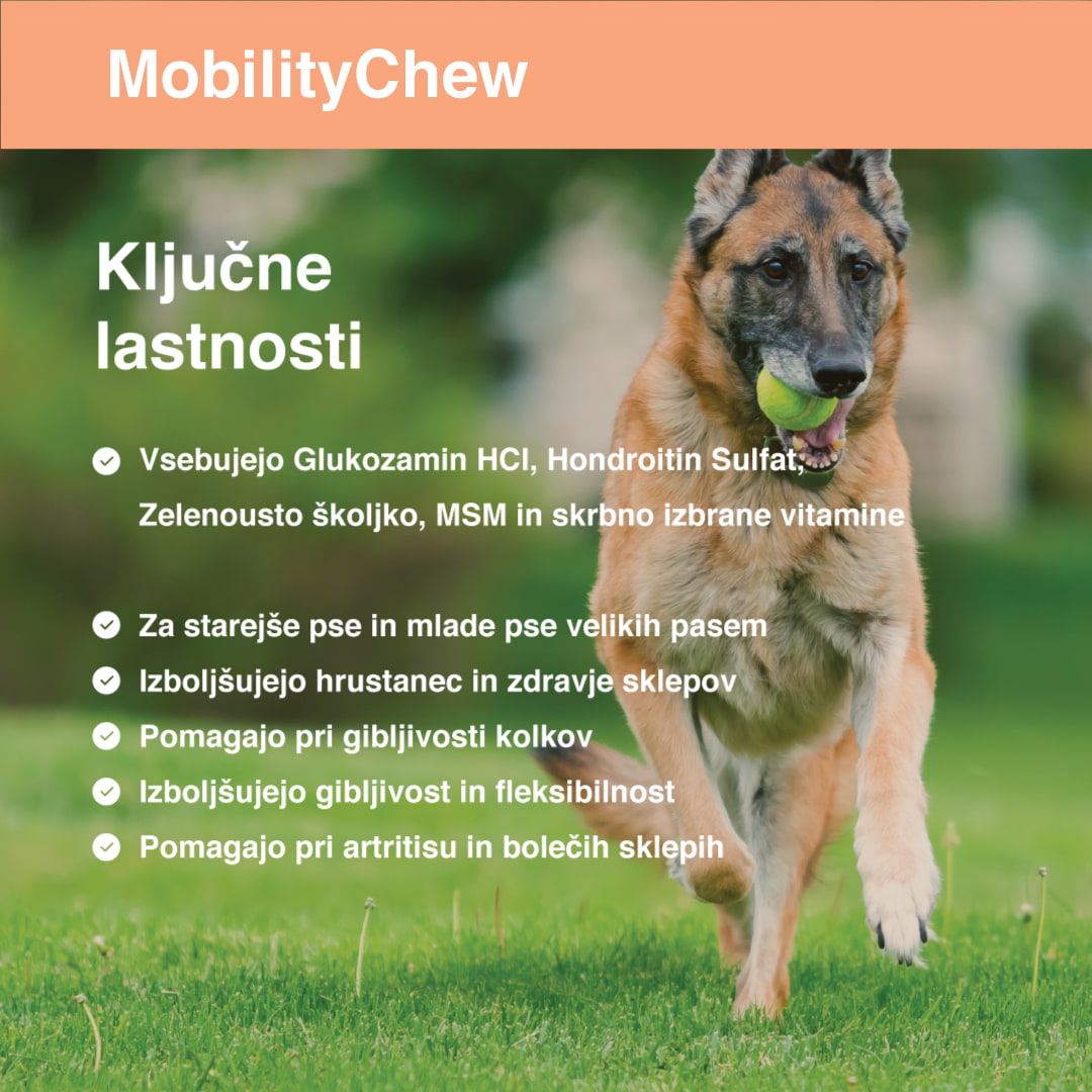 Mobility Chew kľúčové vlastnosti